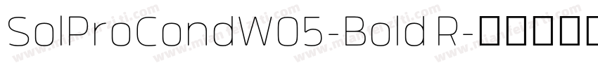 SolProCondW05-Bold R字体转换